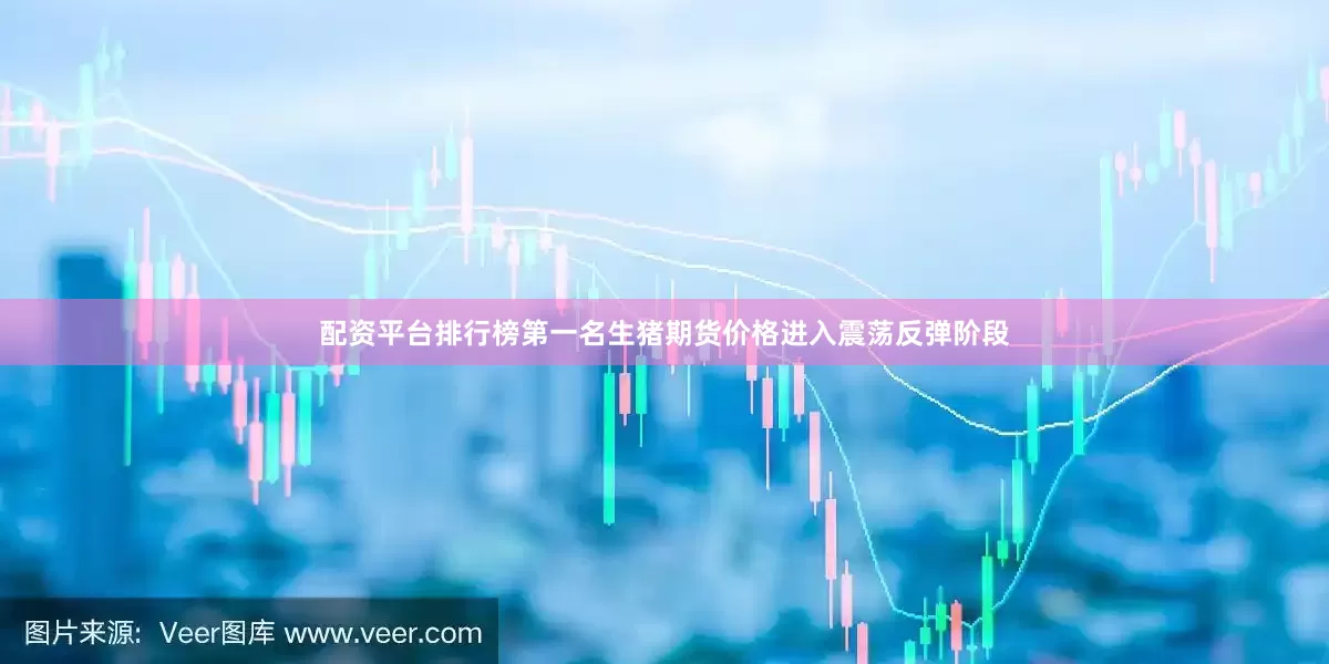 配资平台排行榜第一名生猪期货价格进入震荡反弹阶段